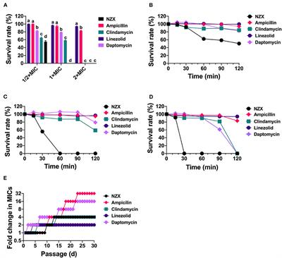 Pharmacokinetics and Pharmacodynamics of Fungal Defensin NZX Against Staphylococcus aureus-Induced Mouse Peritonitis Model